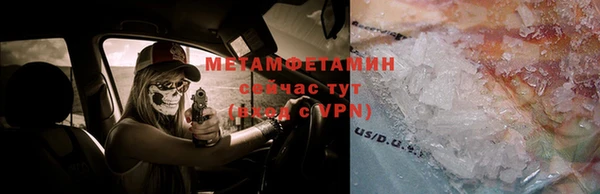 стаф Осинники