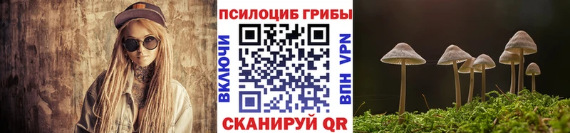 Галлюциногенные грибы Magic Shrooms  купить  цена  Большой Камень 